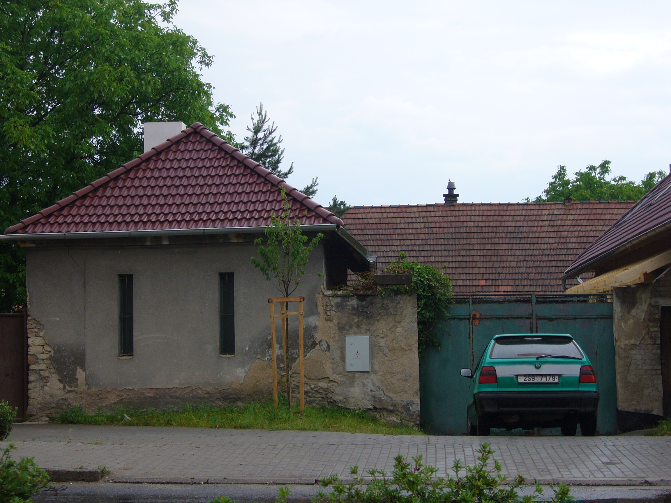 P1040526.JPG